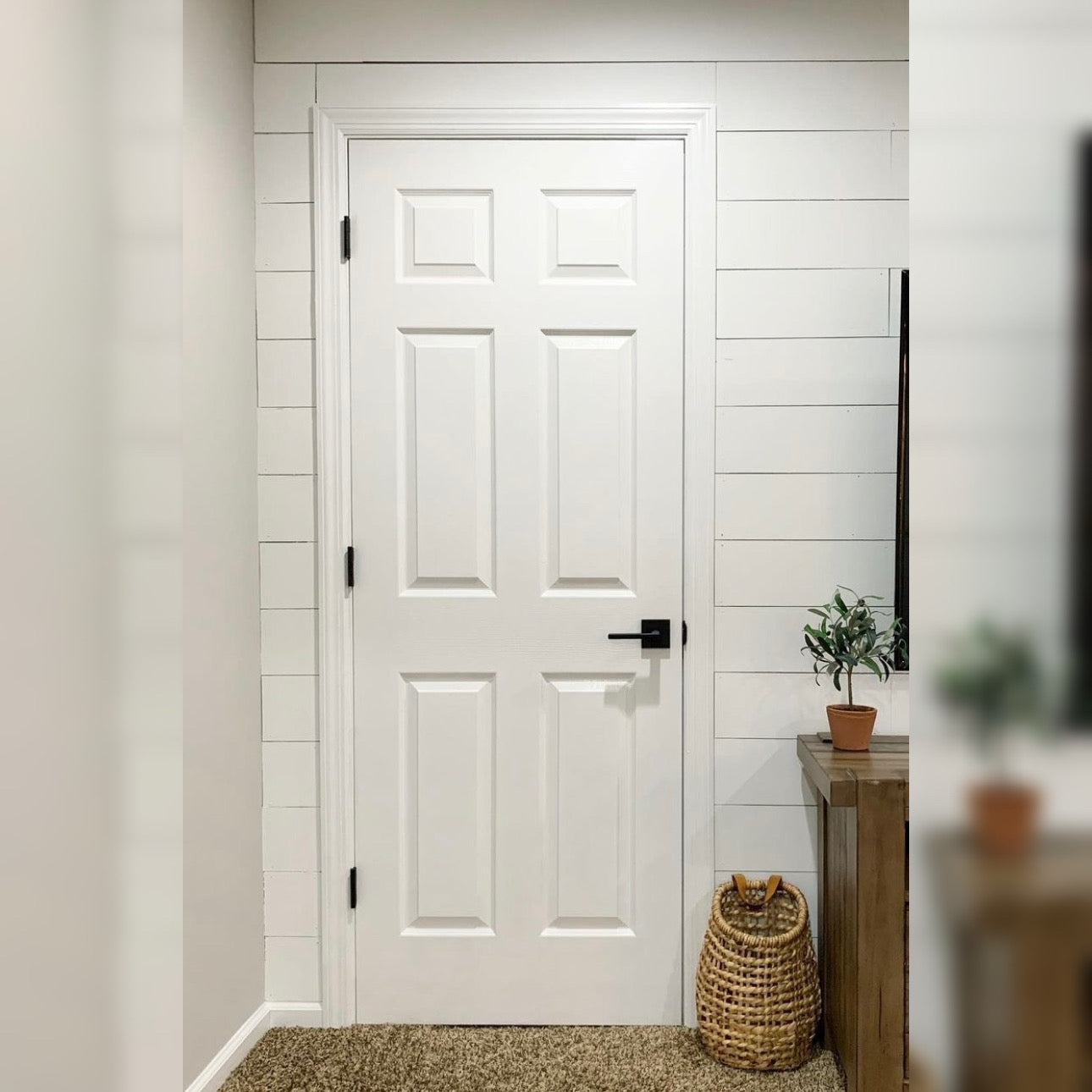 6 Panel Door Hollow Slab